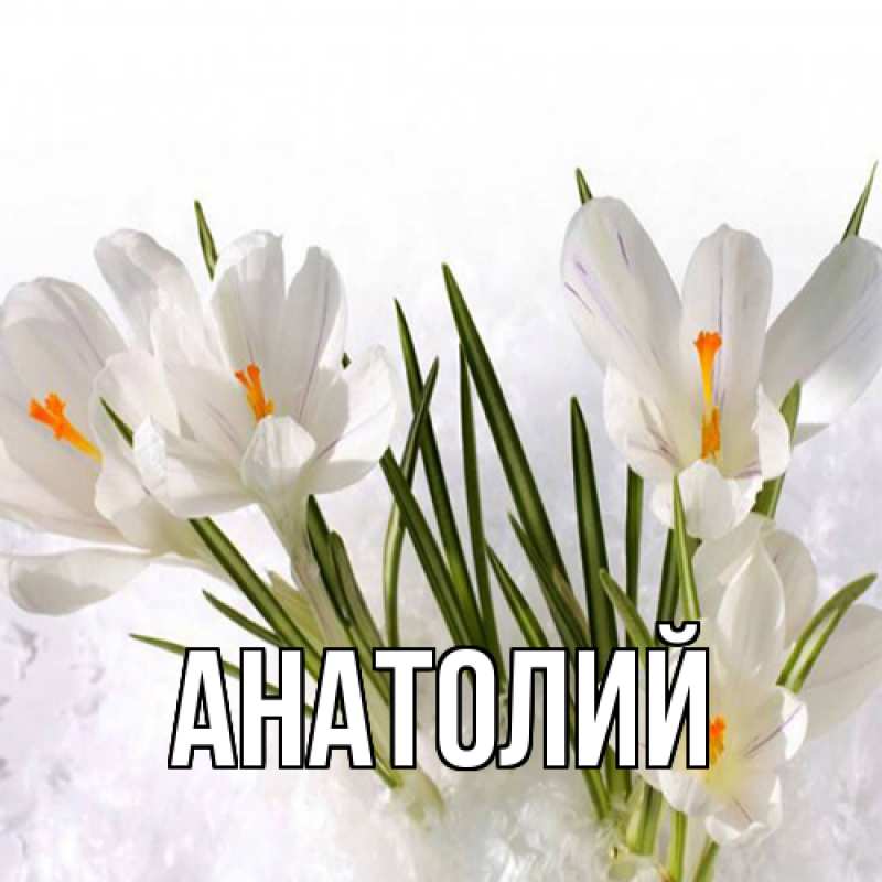 Картинка  с именем , Анатолий