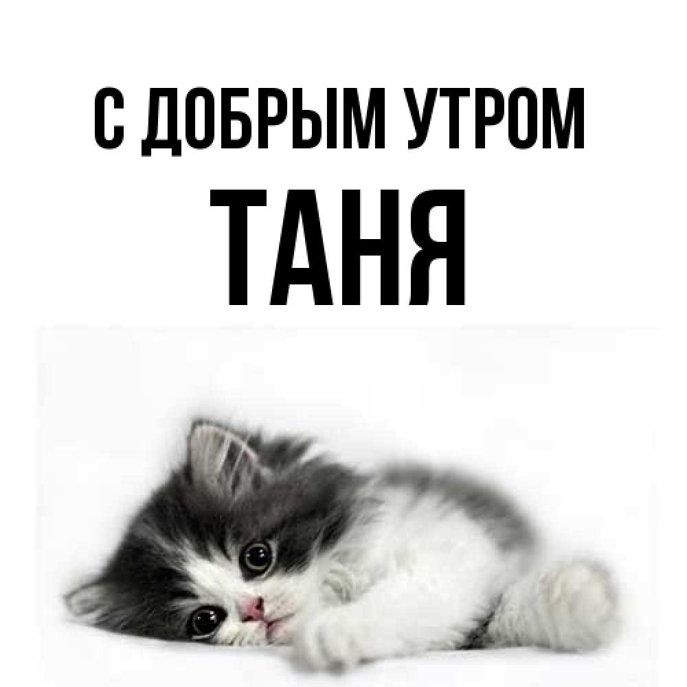 Открытка  с именем. Таня, С добрым утром  