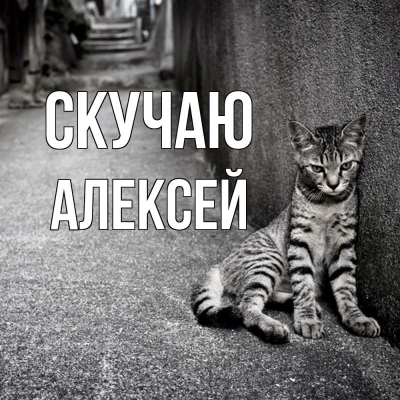 Картинка Скучаю, Алексей
