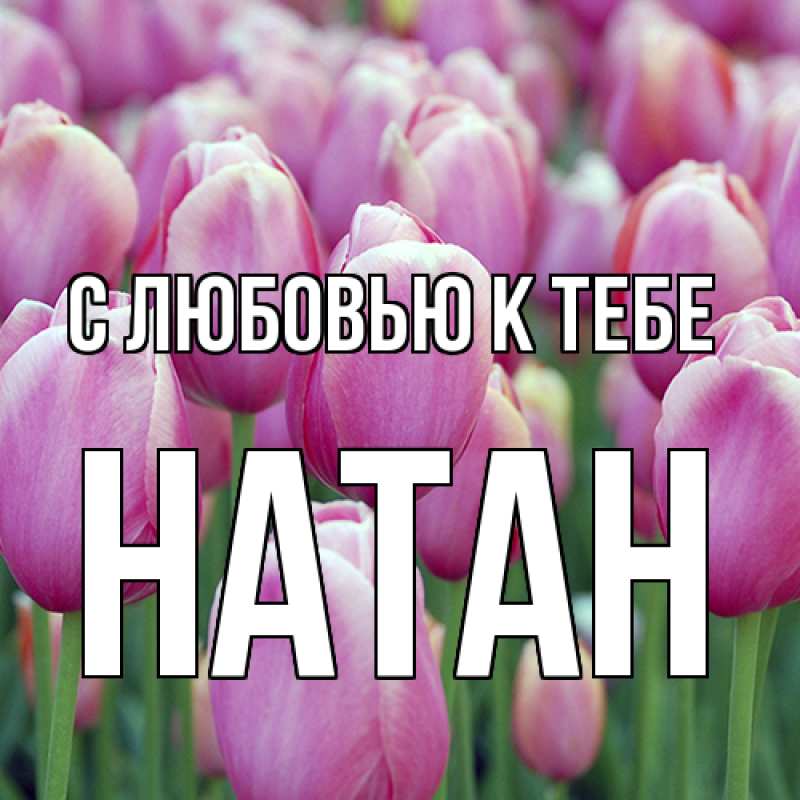 Картинка С любовью к тебе, Натан