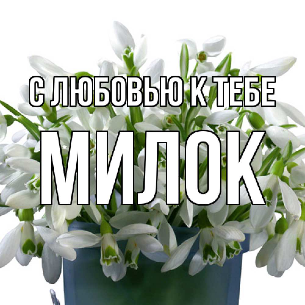 Открытка  с именем. Милок, С любовью к тебе  