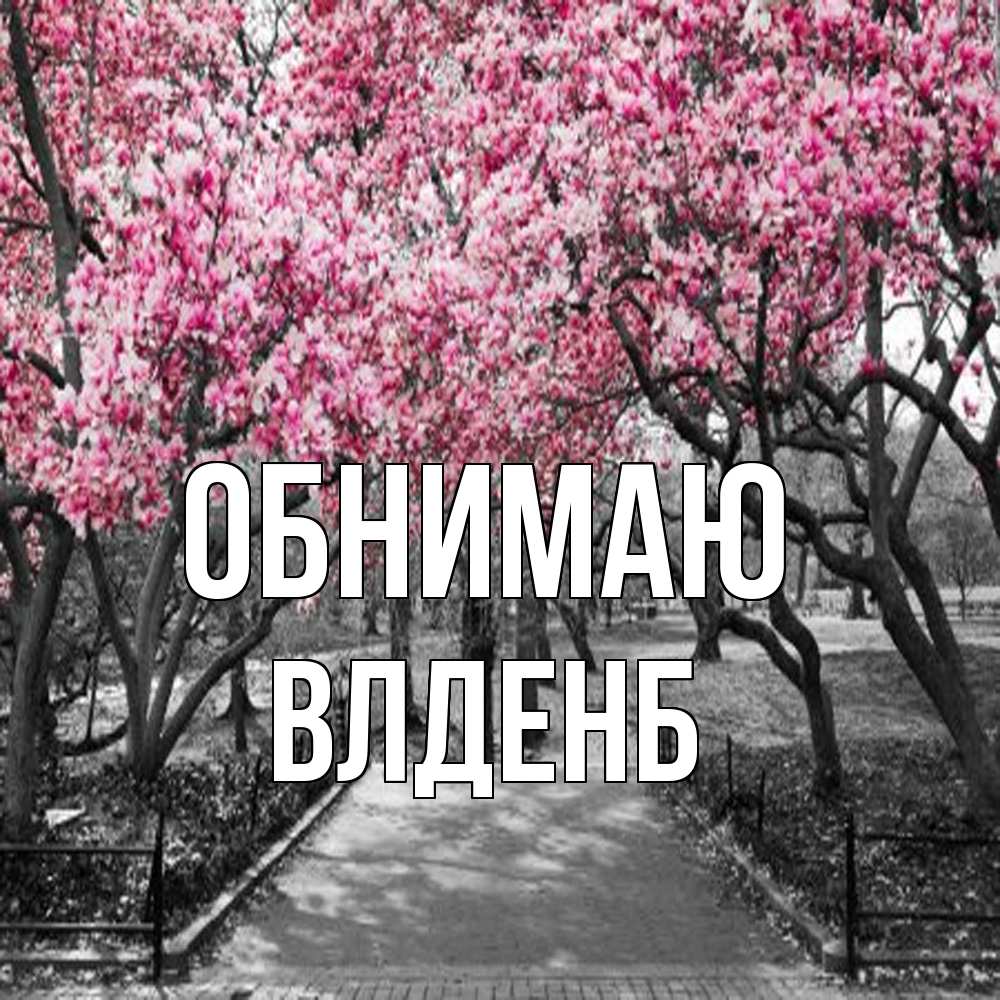 Открытка  с именем. Влденб, Обнимаю  