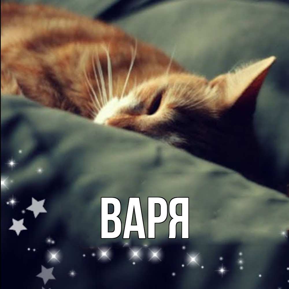 Открытка  с именем. варя, Главная  