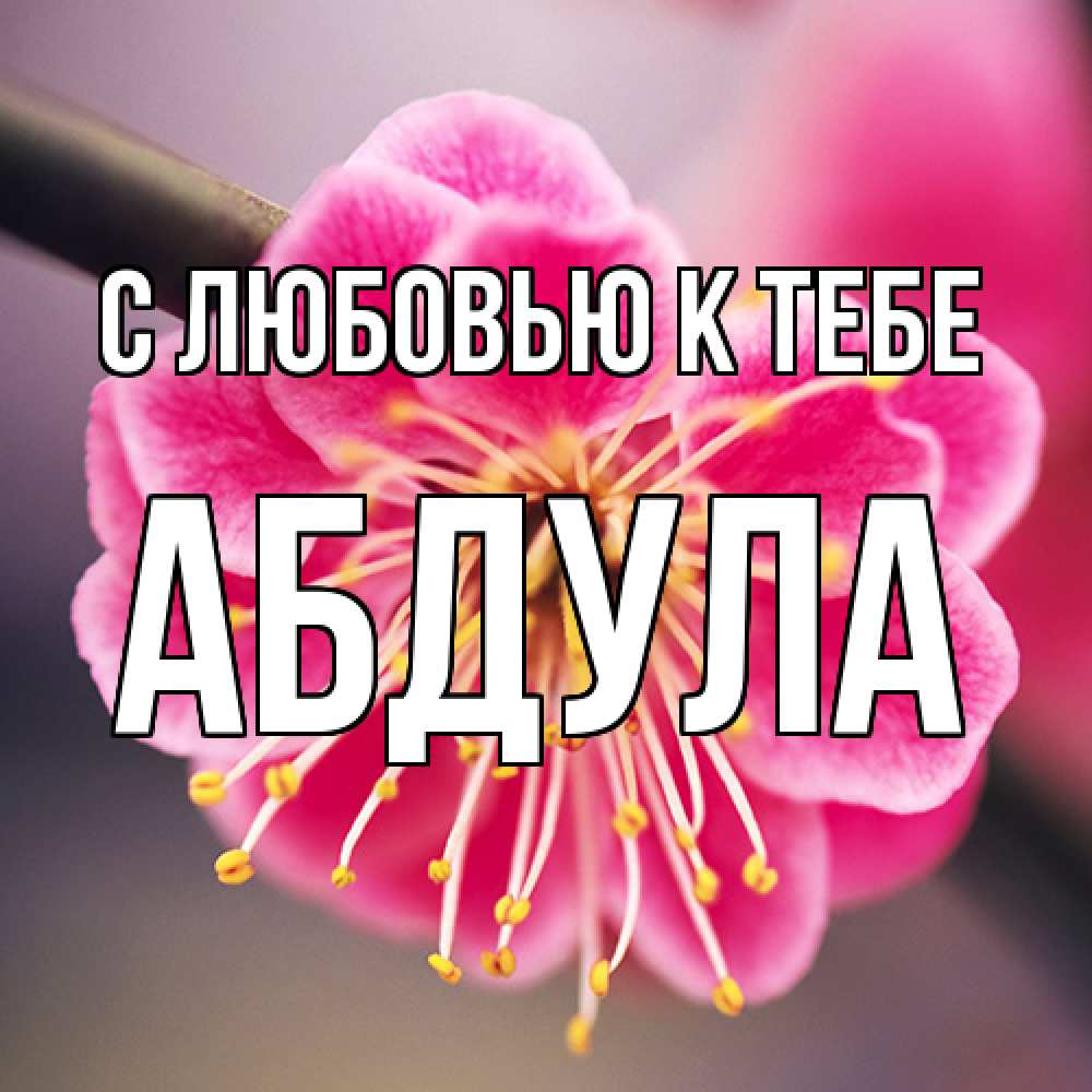 Открытка  с именем. Абдула, С любовью к тебе  