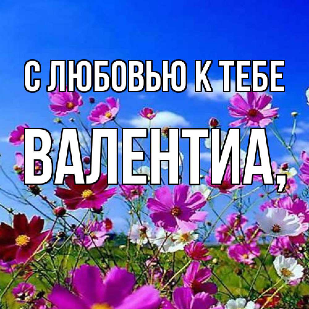 Открытка  с именем. Валентиа, С любовью к тебе  