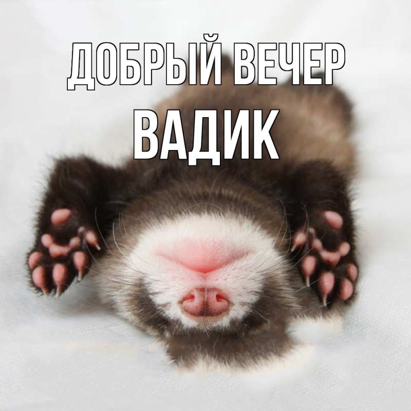 Картинка Добрый вечер, Вадик