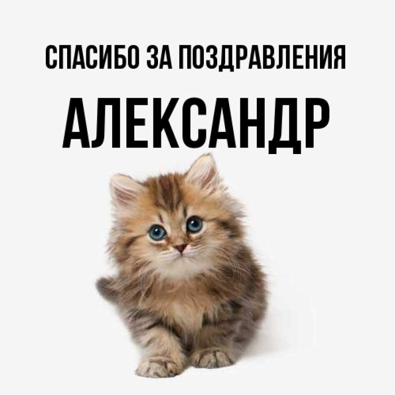 Картинка Спасибо за поздравления, александр