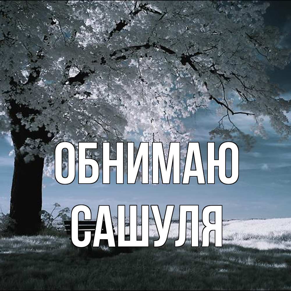 Открытка  с именем. Сашуля, Обнимаю  