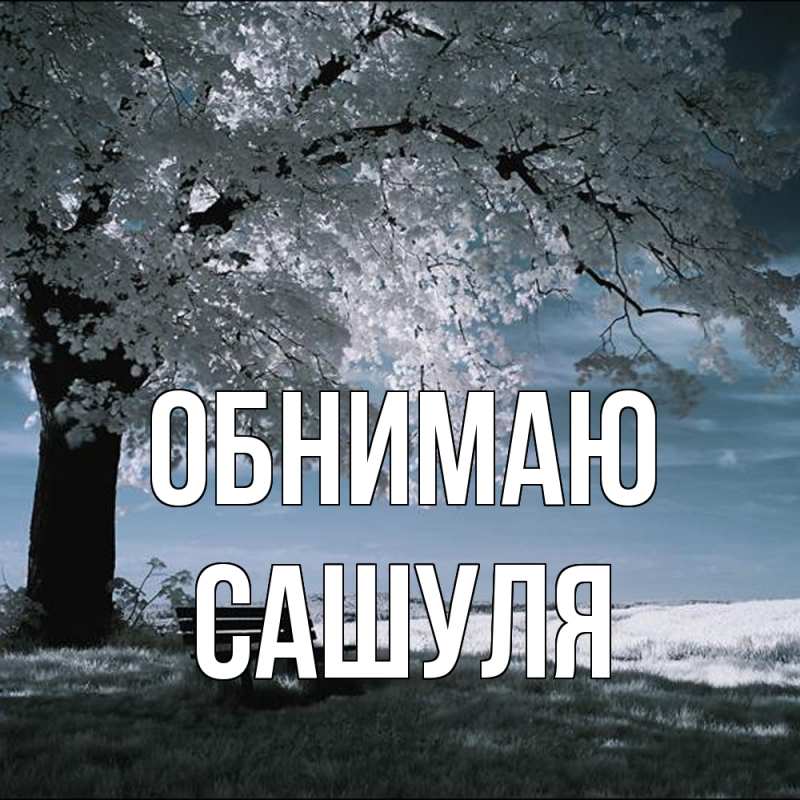 Картинка Обнимаю, Сашуля