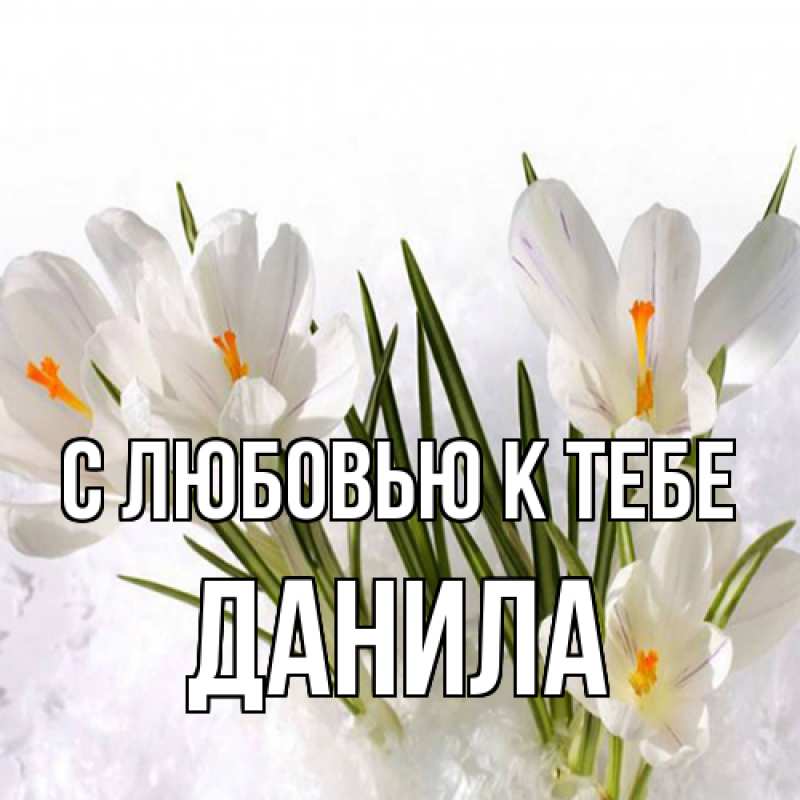 Открытка с именем, Данила, С любовью к тебе