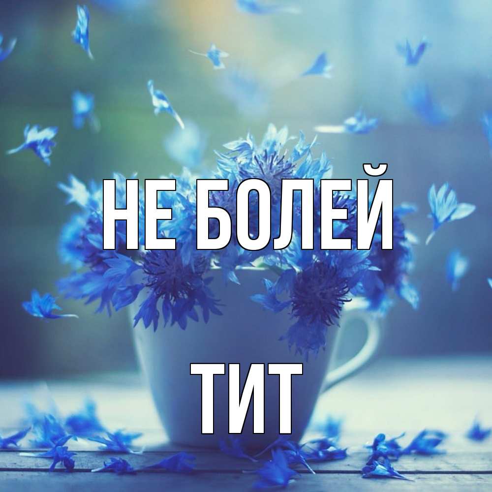 Открытка  с именем. Тит, Не болей  
