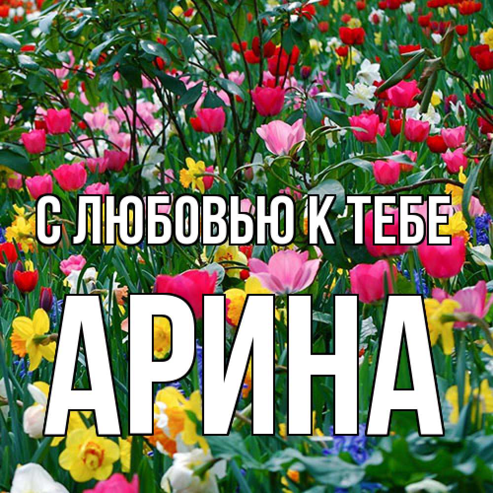 Открытка  с именем. Арина, С любовью к тебе  