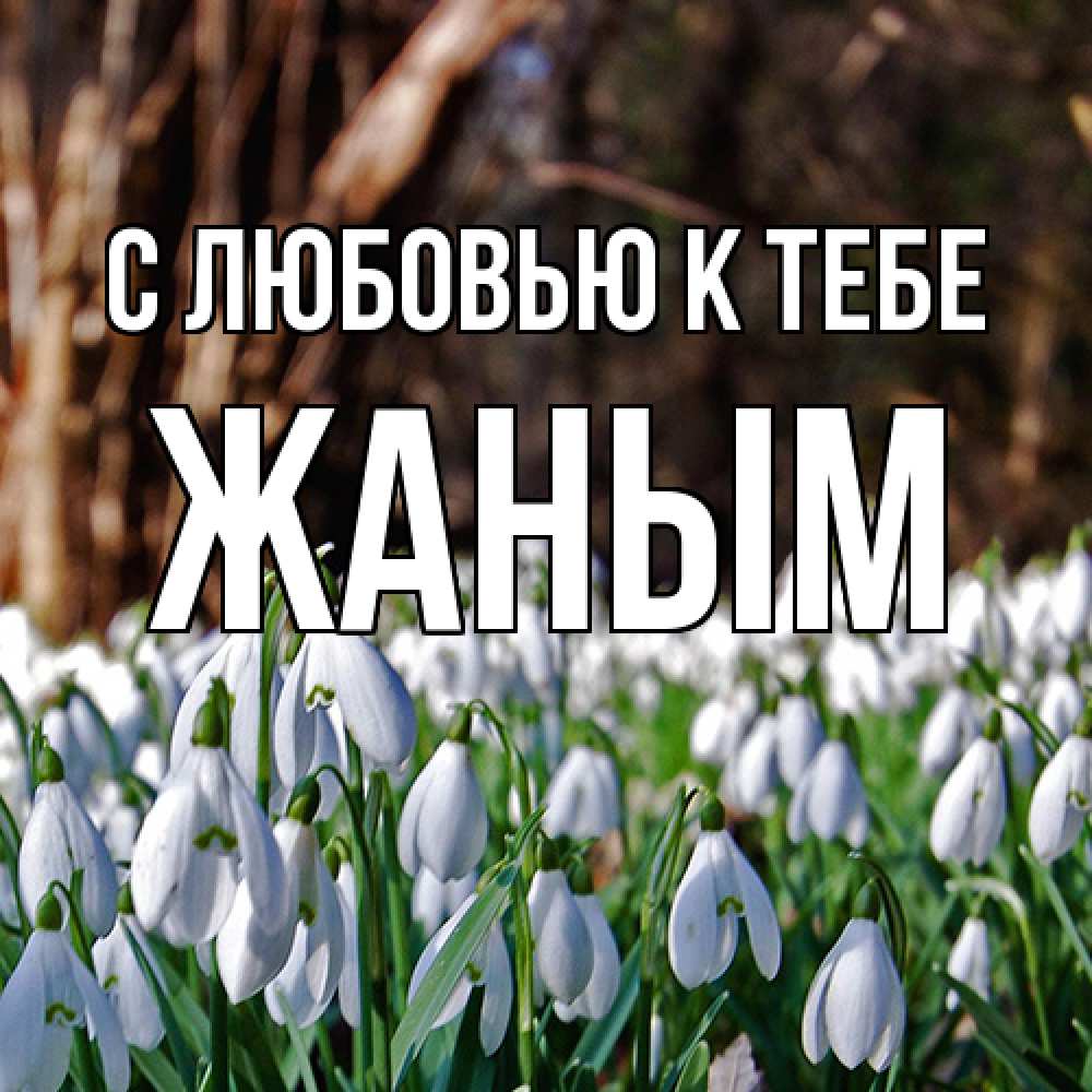 Открытка  с именем. Жаным, С любовью к тебе  