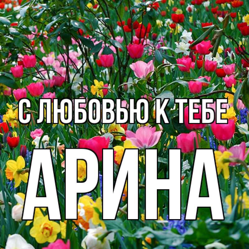 Картинка С любовью к тебе, Арина