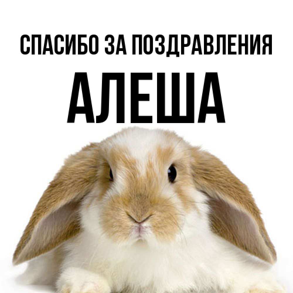 Открытка  с именем. Алеша, Спасибо за поздравления  
