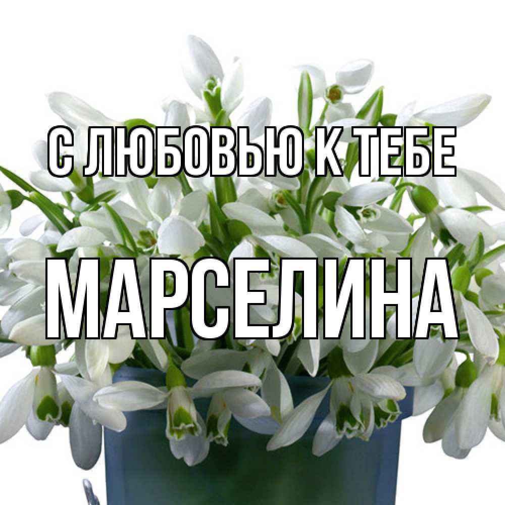 Открытка  с именем. Марселина, С любовью к тебе  