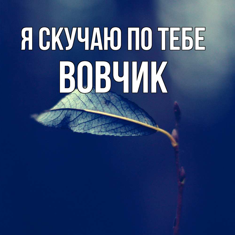 Открытка  с именем. вовчик, Я скучаю по тебе  
