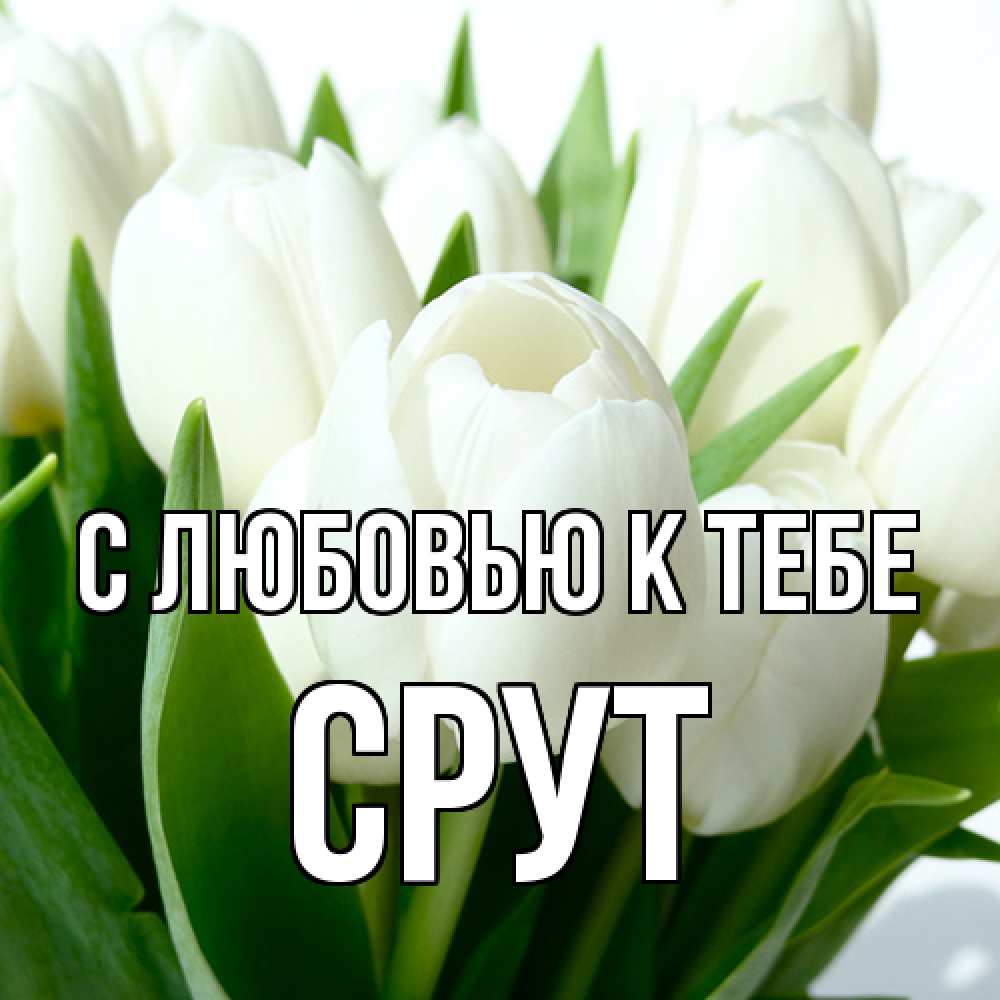 Открытка  с именем. срут, С любовью к тебе  