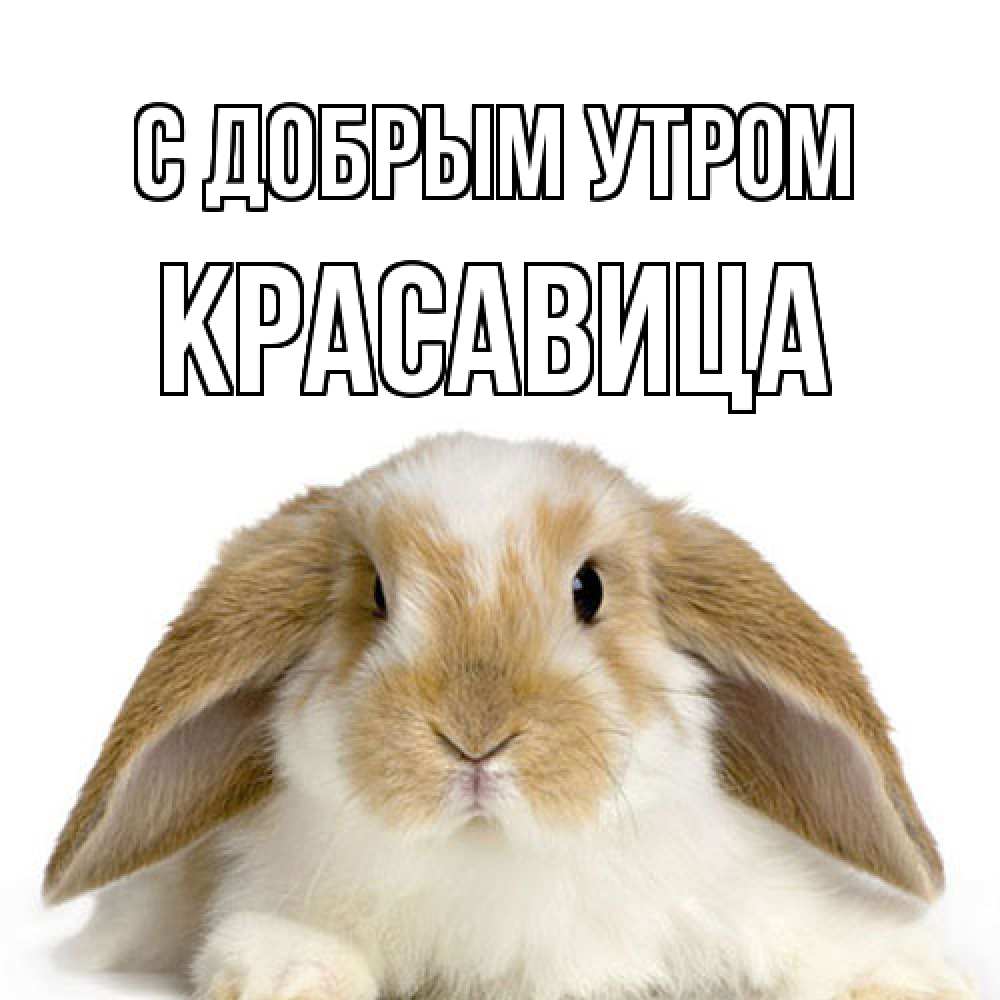 Открытка  с именем. Красавица, С добрым утром  