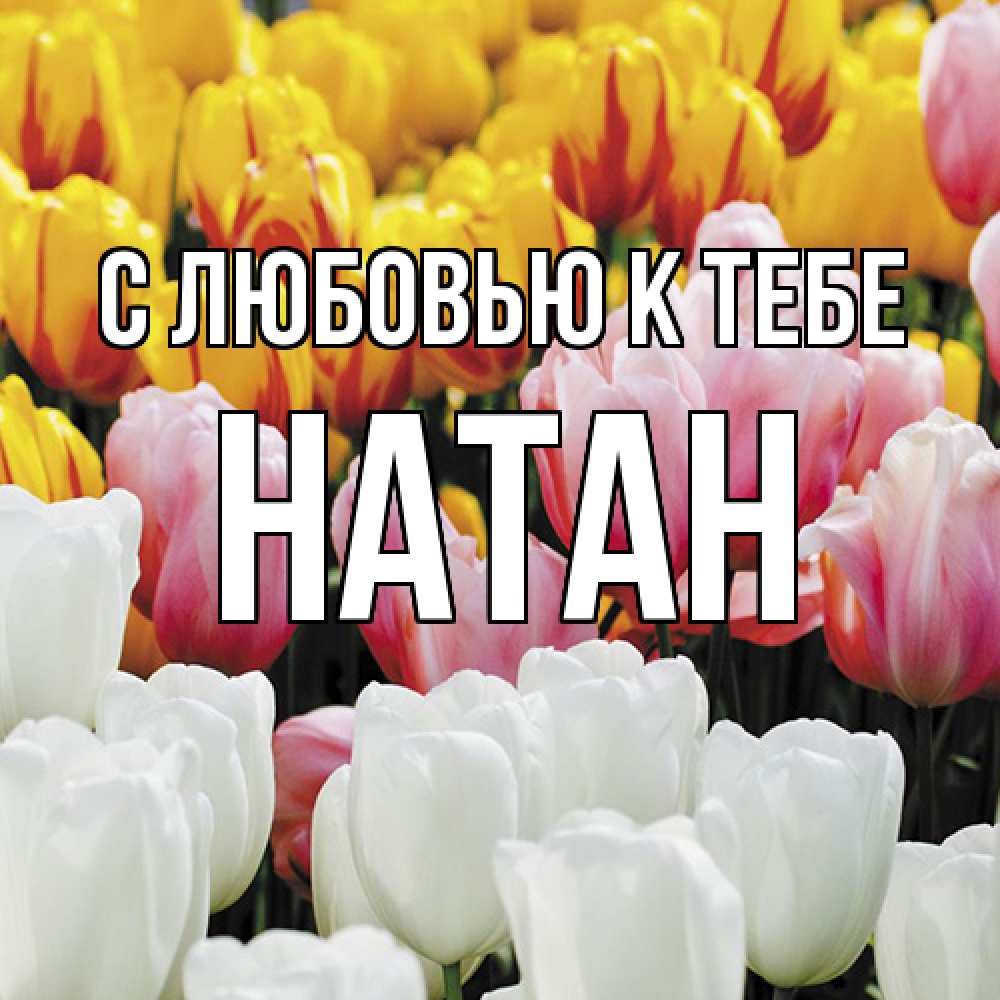 Открытка  с именем. Натан, С любовью к тебе  