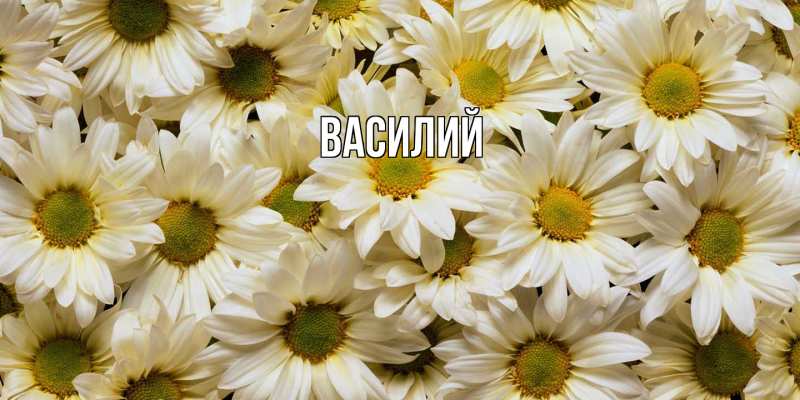 Картинка  с именем , Василий