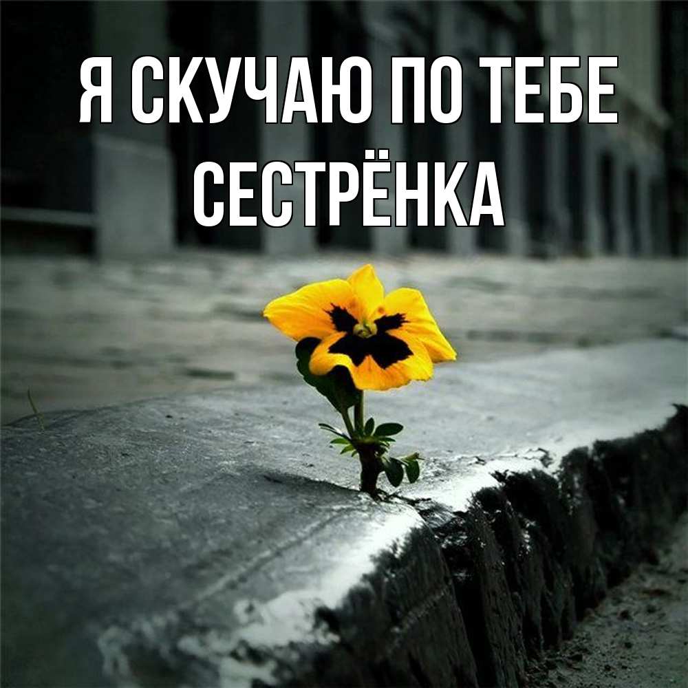 Открытка  с именем. Сестрёнка, Я скучаю по тебе  