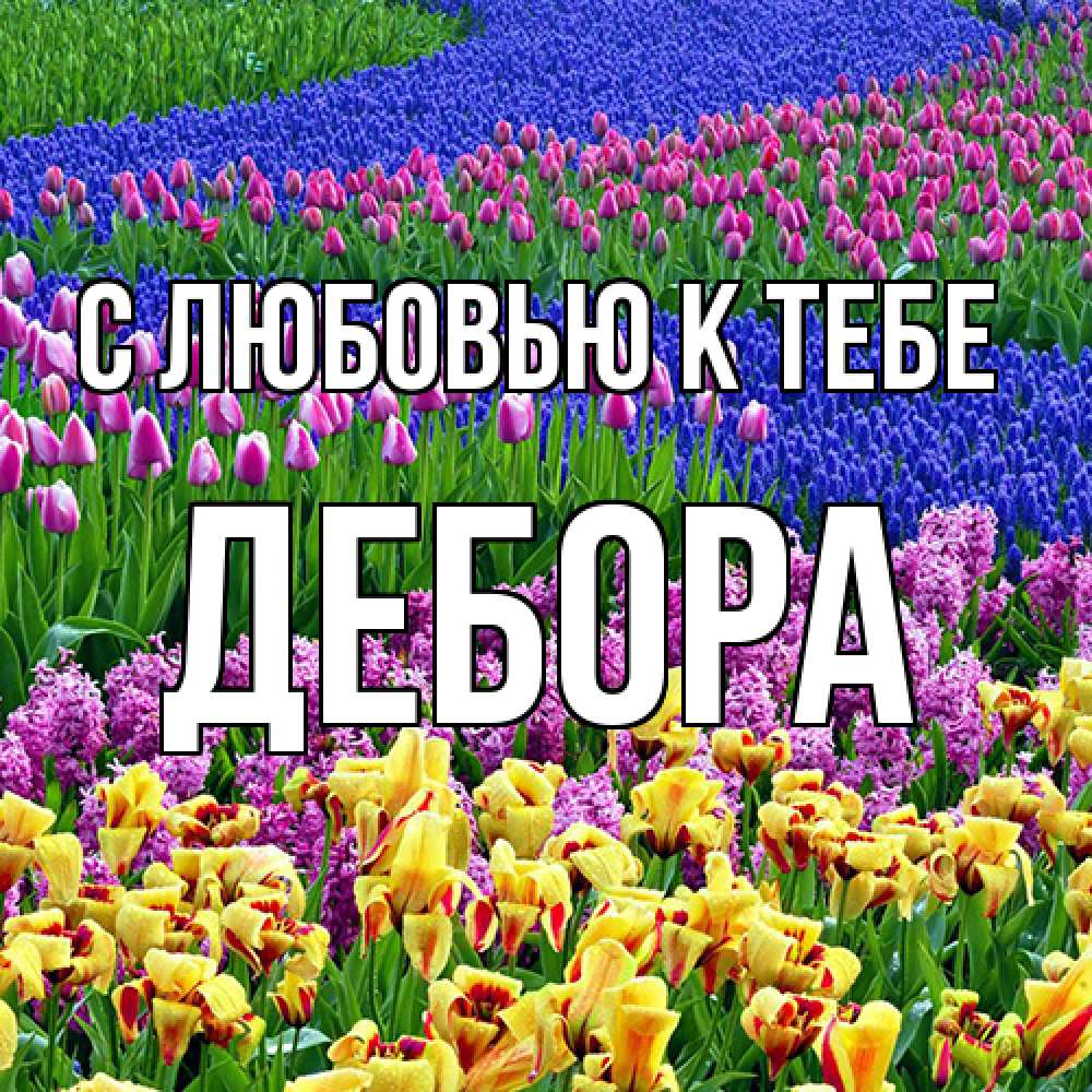 Открытка  с именем. Дебора, С любовью к тебе  