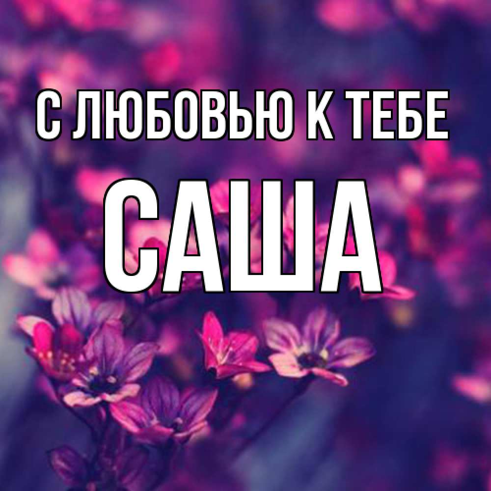 Открытка  с именем. Саша, С любовью к тебе  