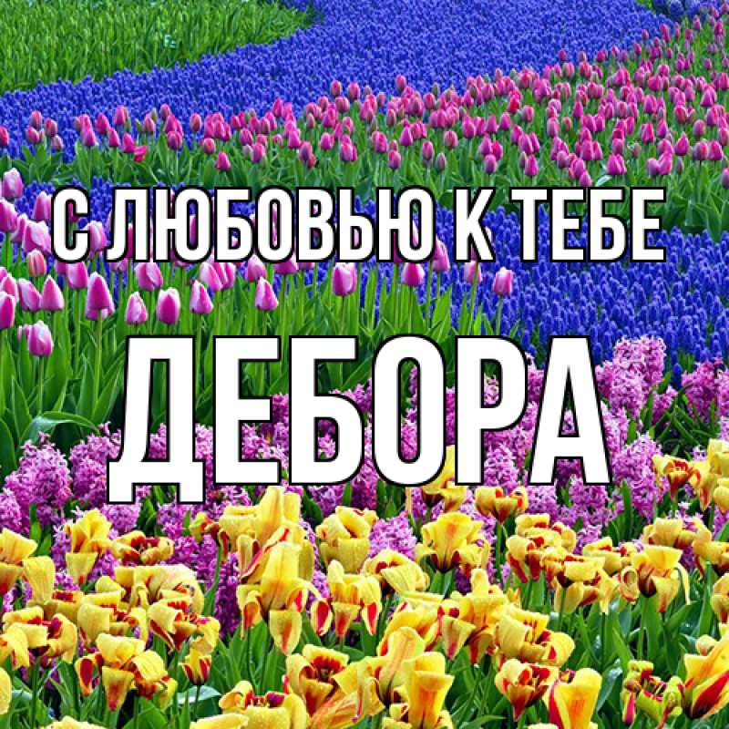 Картинка С любовью к тебе, Дебора