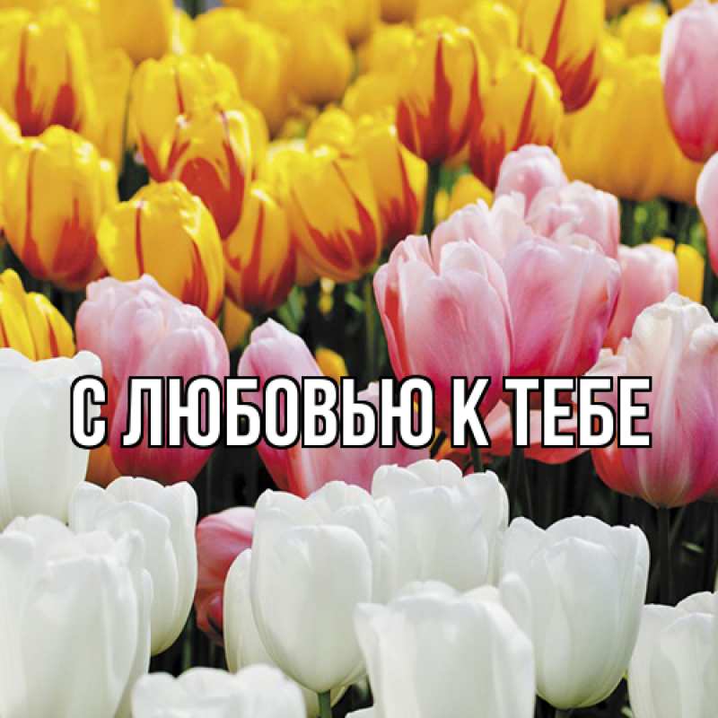 Картинка С любовью к тебе, 