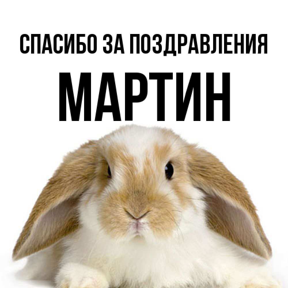 Открытка  с именем. Мартин, Спасибо за поздравления  