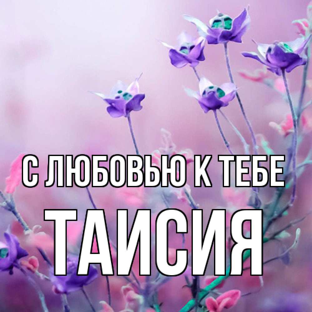 Открытка  с именем. Таисия, С любовью к тебе  