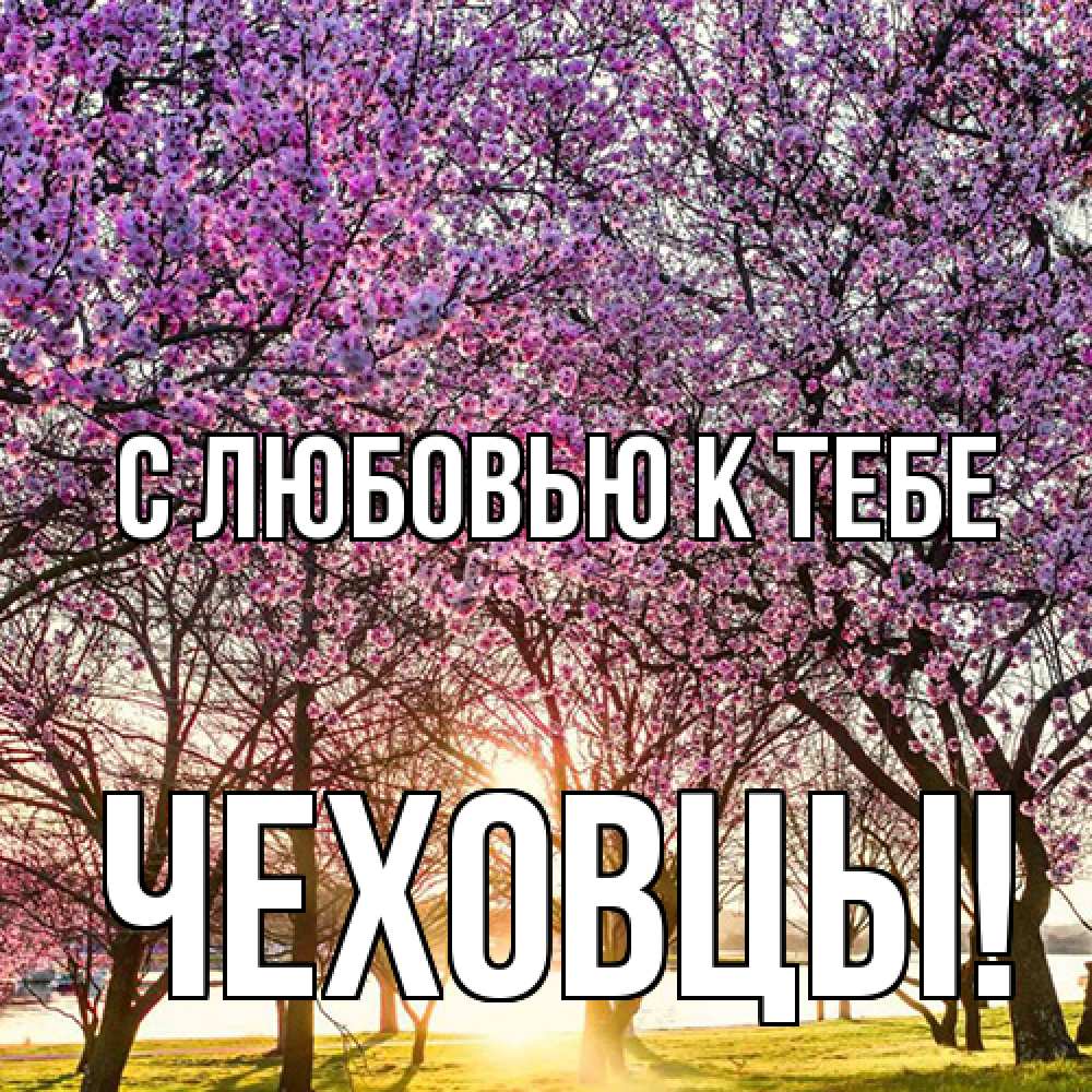 Открытка  с именем. Чеховцы, С любовью к тебе  