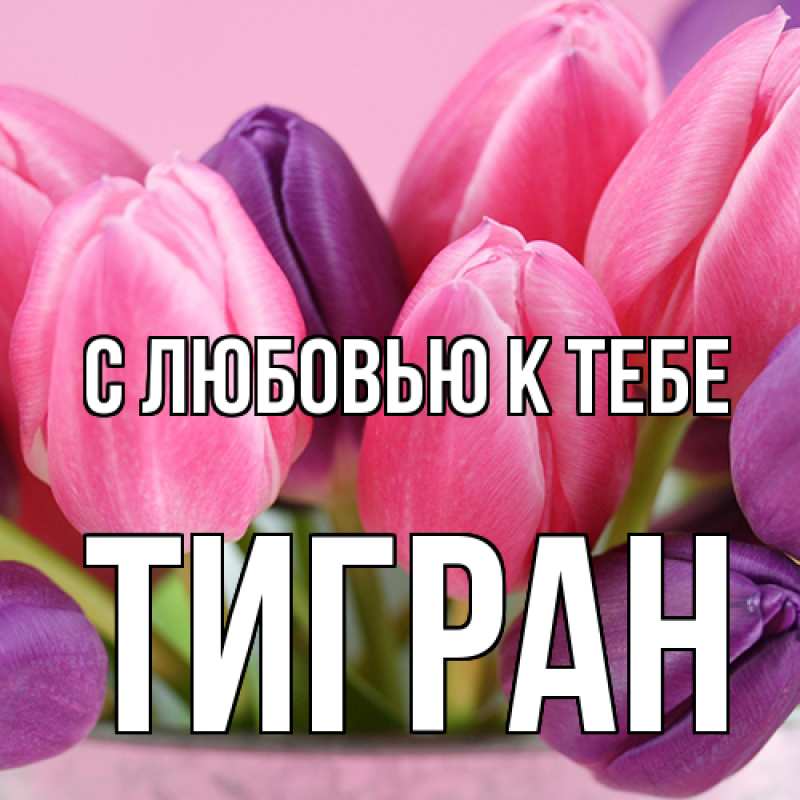 Картинка С любовью к тебе, Тигран