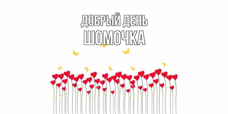 Картинка Добрый день, Шомочка