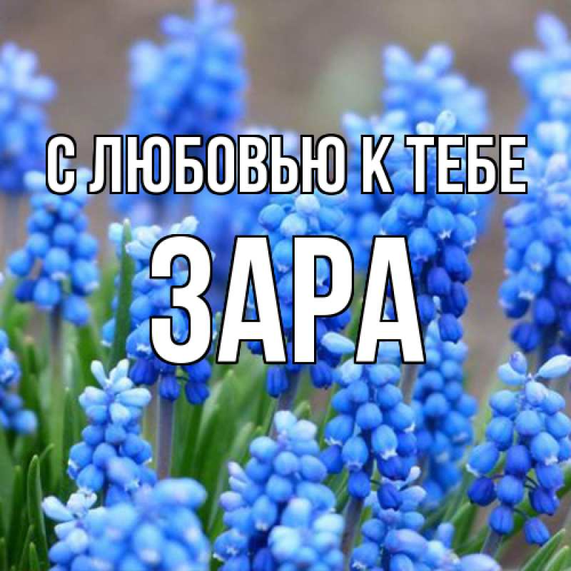 Картинка С любовью к тебе, Зара