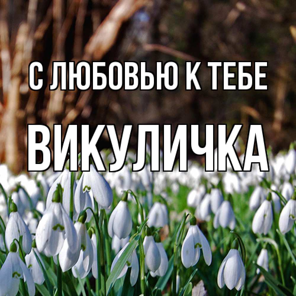 Открытка  с именем. Викуличка, С любовью к тебе  