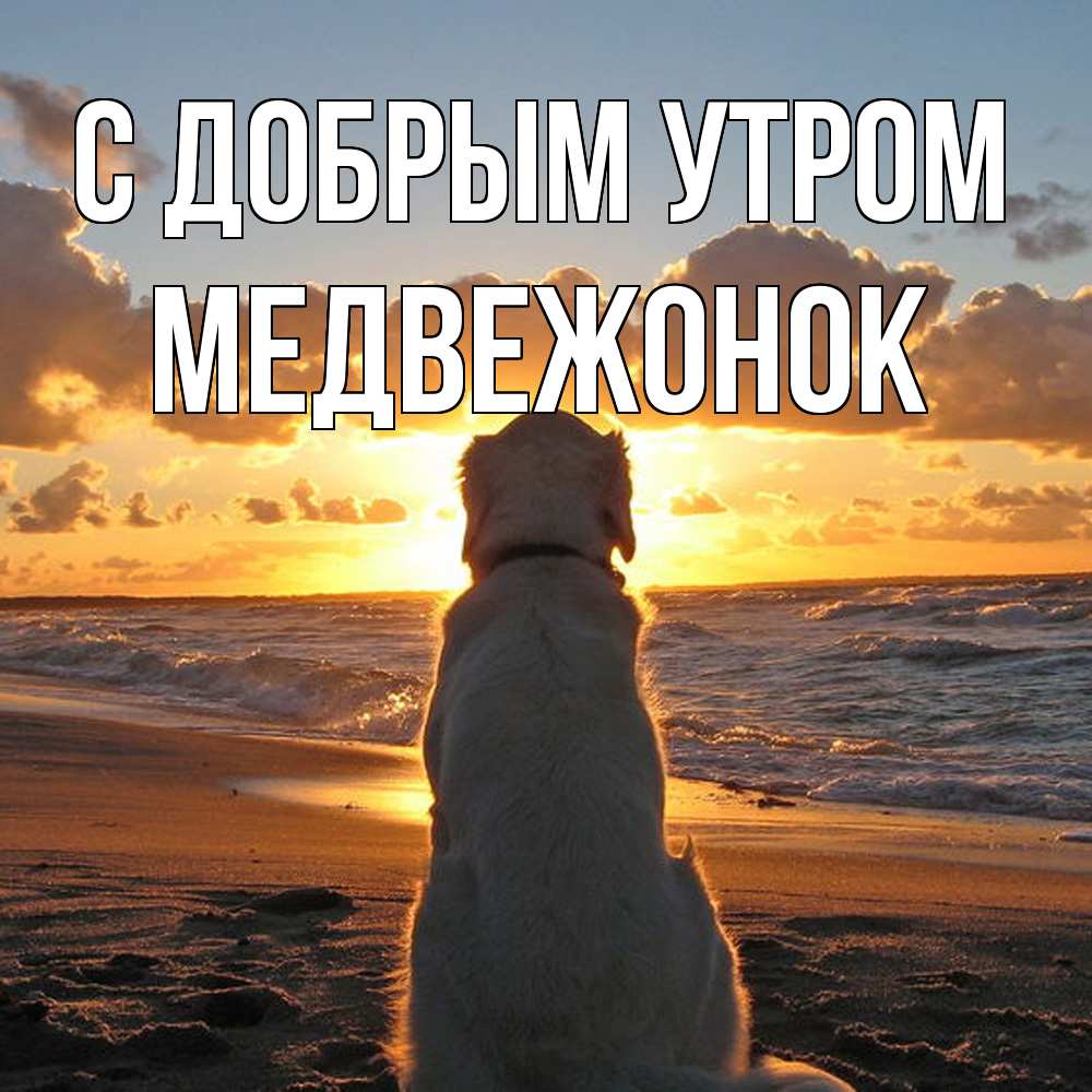 Открытка  с именем. Медвежонок, С добрым утром  