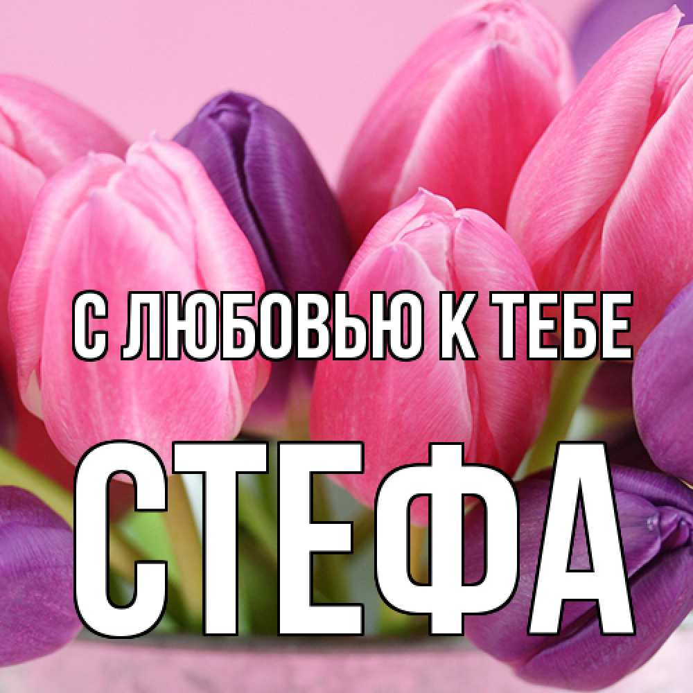 Открытка  с именем. стефа, С любовью к тебе  