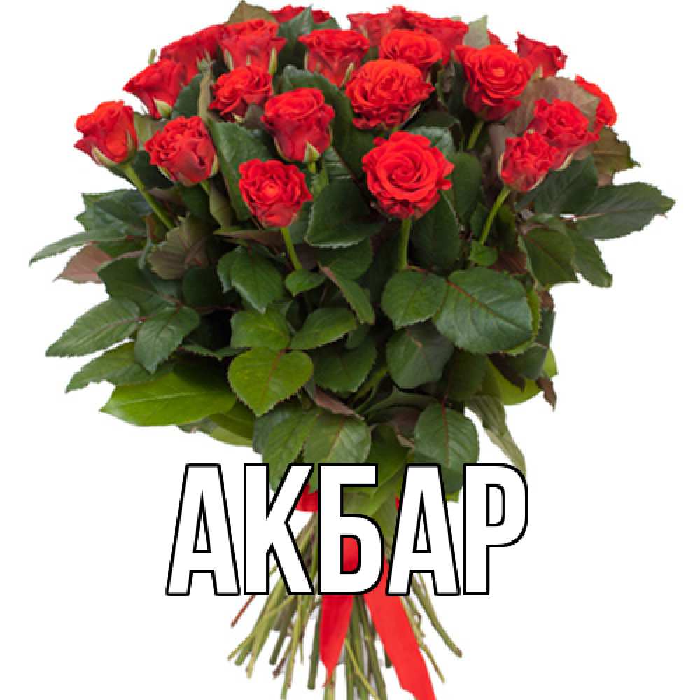 Открытка  с именем. Акбар, Главная  