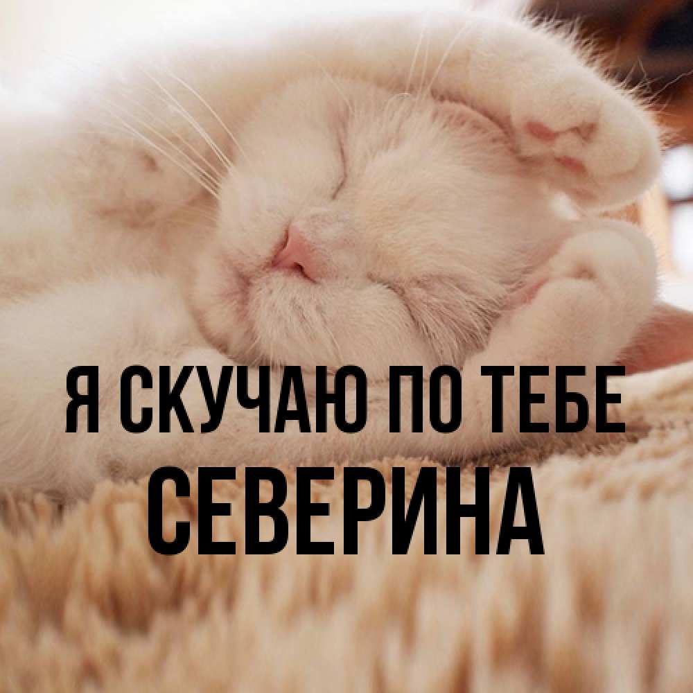 Открытка  с именем. Северина, Я скучаю по тебе  
