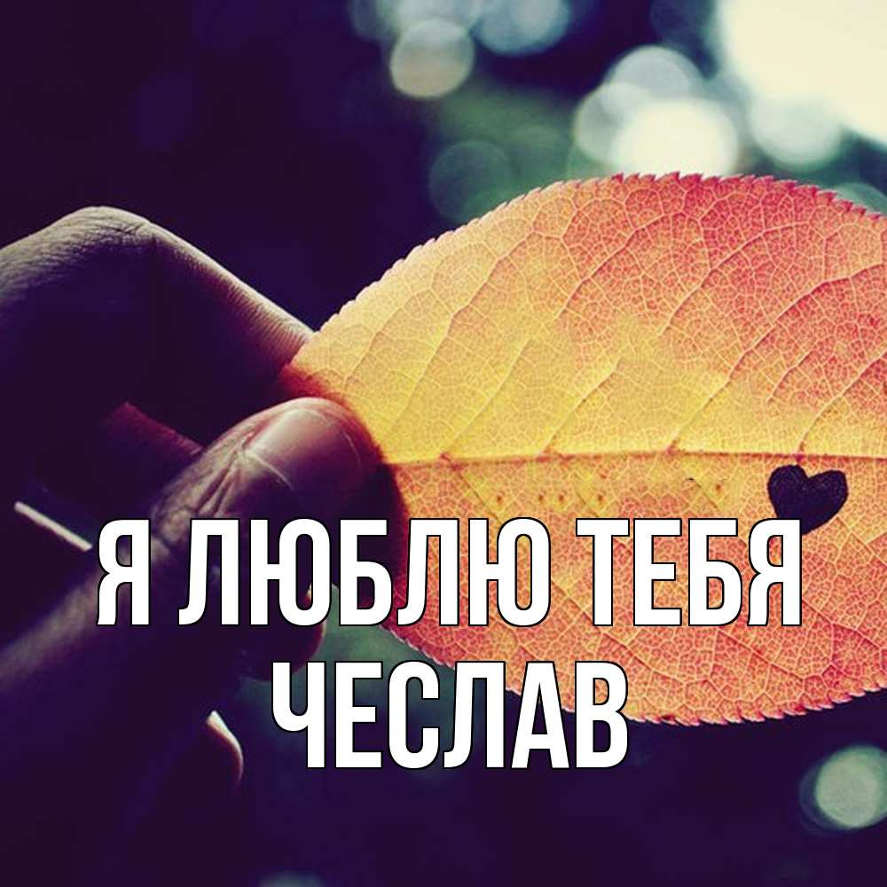 Открытка  с именем. Чеслав, Я люблю тебя  