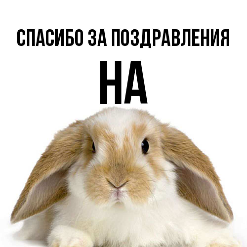 Открытка  с именем. на, Спасибо за поздравления  