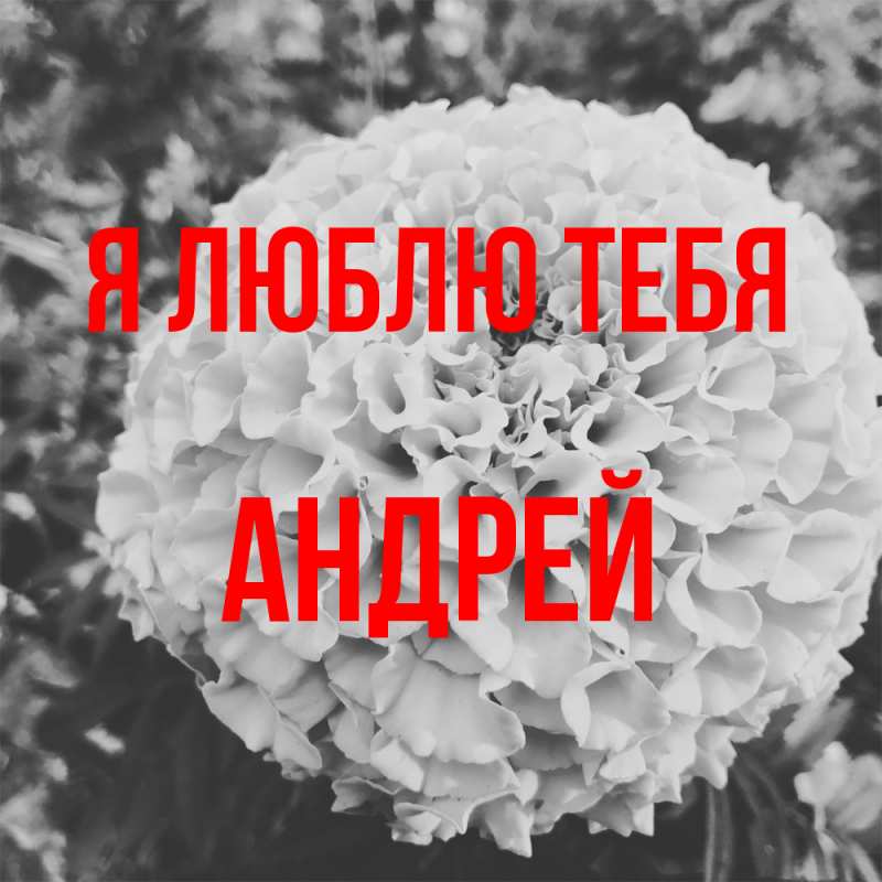 Картинка Я люблю тебя, Андрей