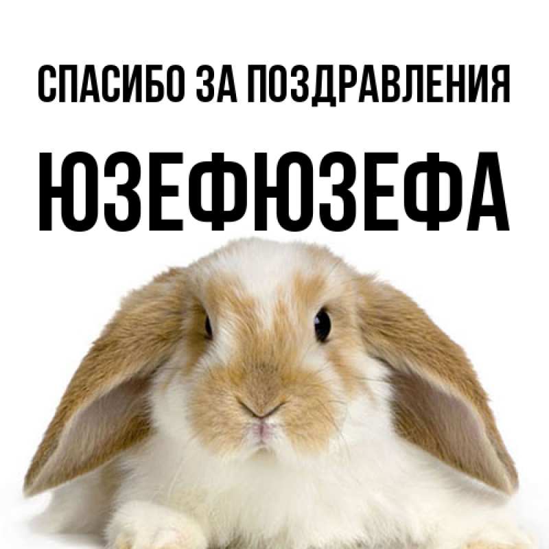 Картинка Спасибо за поздравления, Юзефюзефа