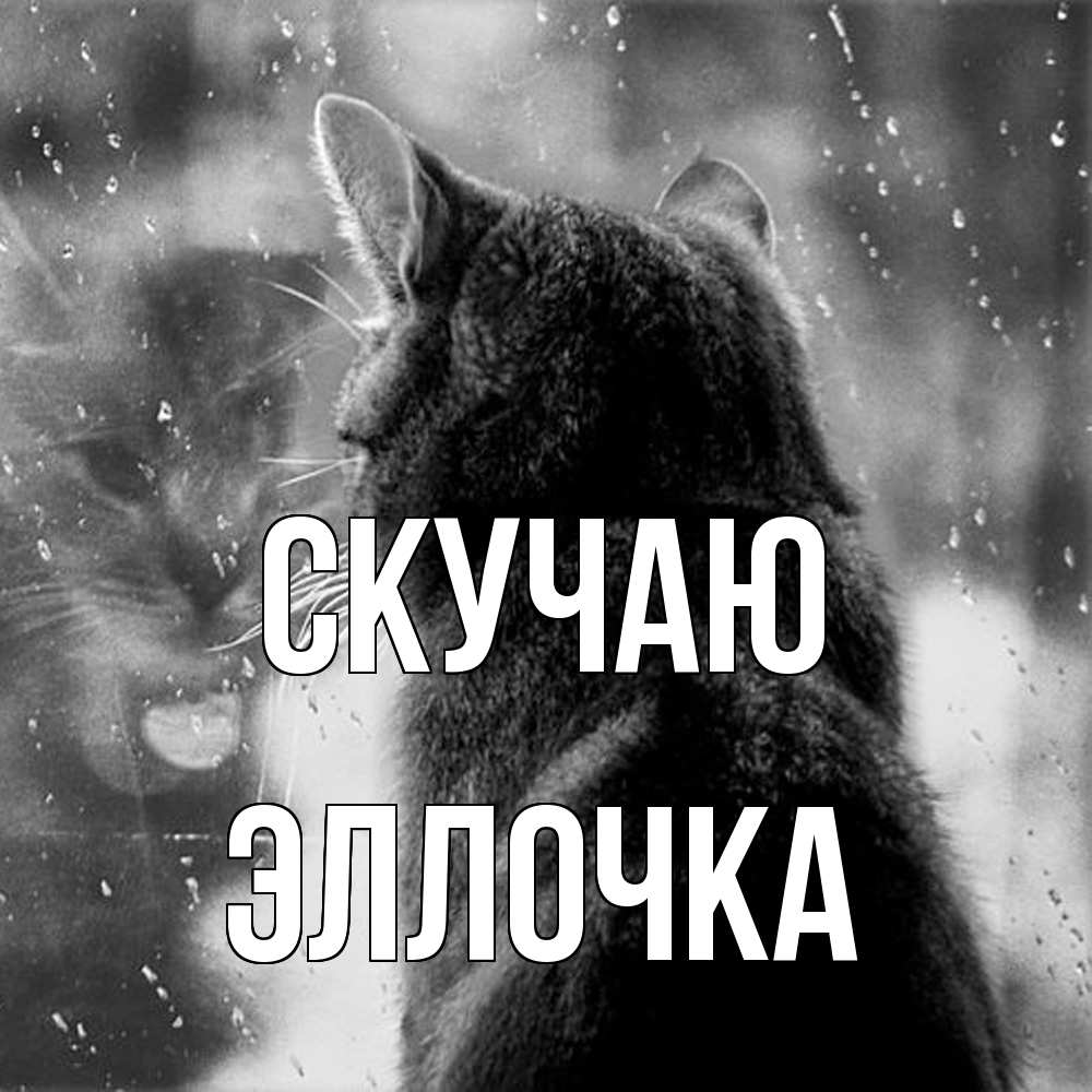 Открытка  с именем. Эллочка, Скучаю  