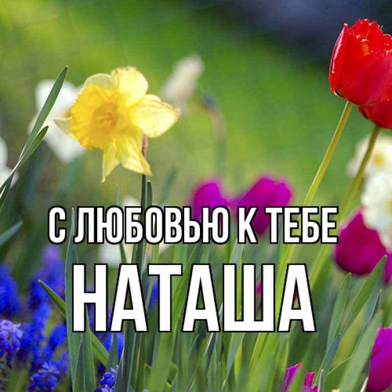 Картинка С любовью к тебе, Наташа