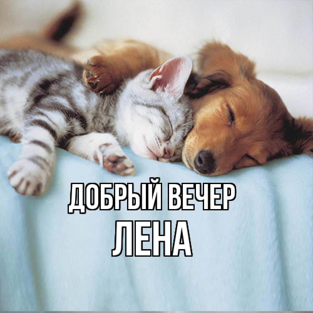 Открытка  с именем. Лена, Добрый вечер  