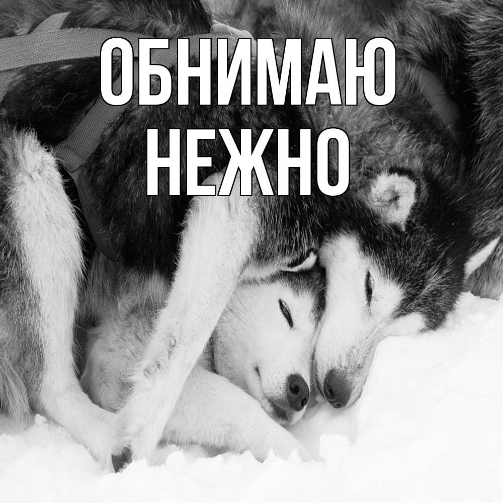 Открытка  с именем. Нежно, Обнимаю  