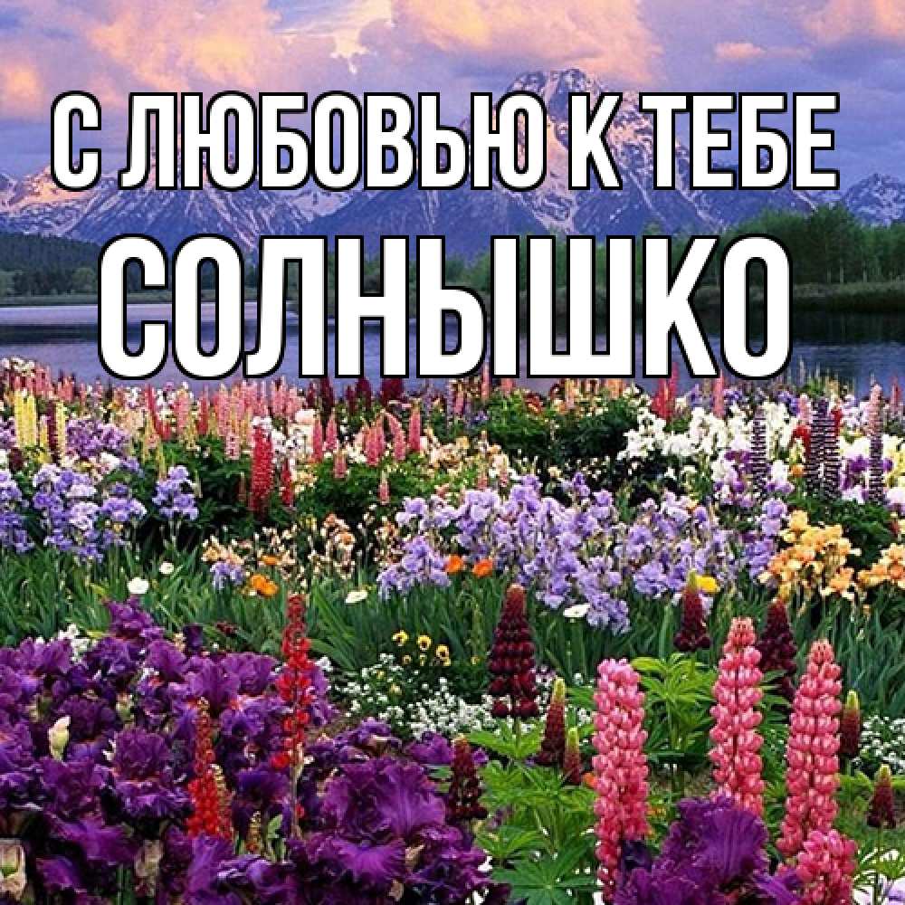 Открытка  с именем. Солнышко, С любовью к тебе  